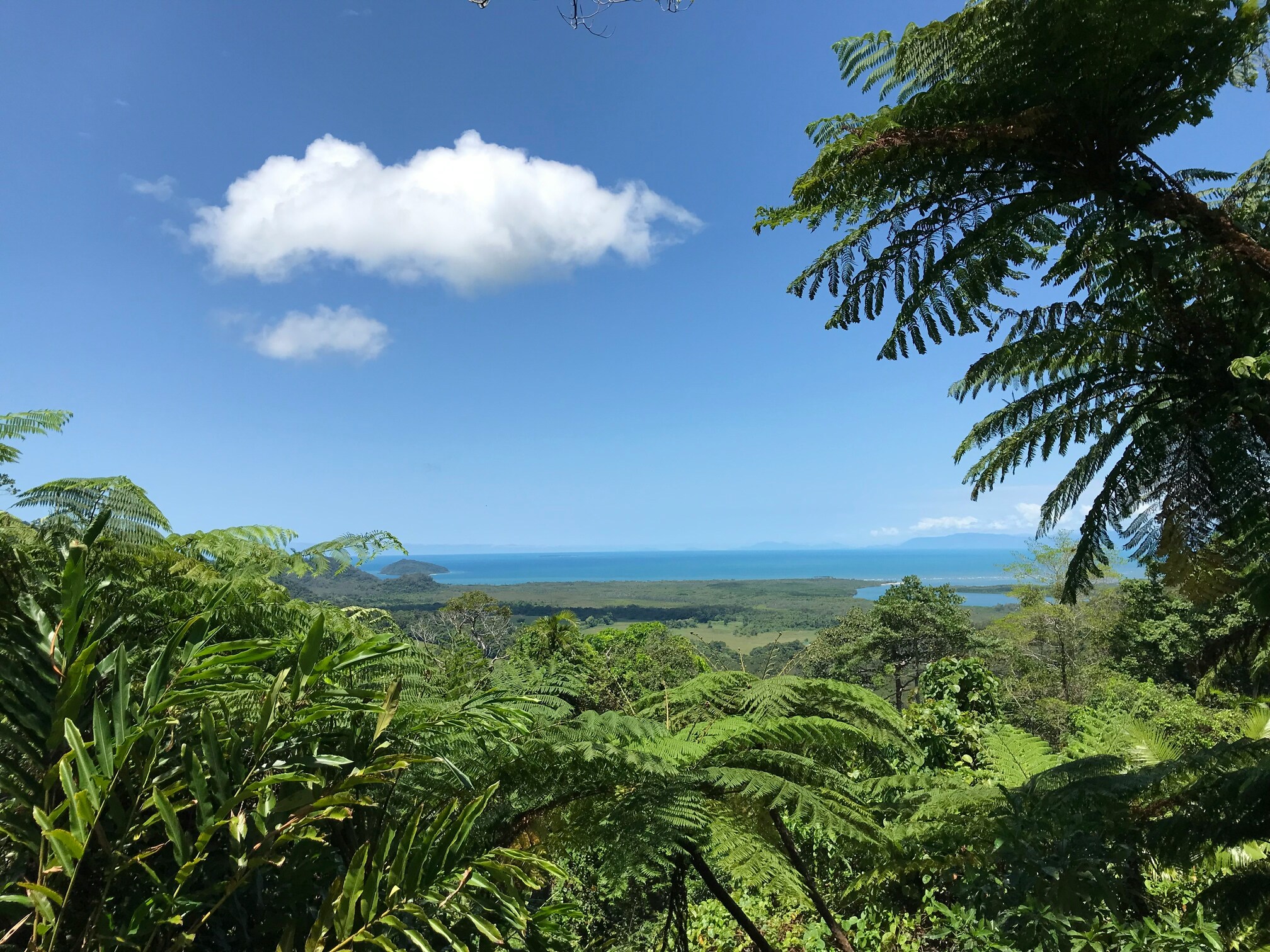 Cape Tribulation montañas espectaculares de Australia