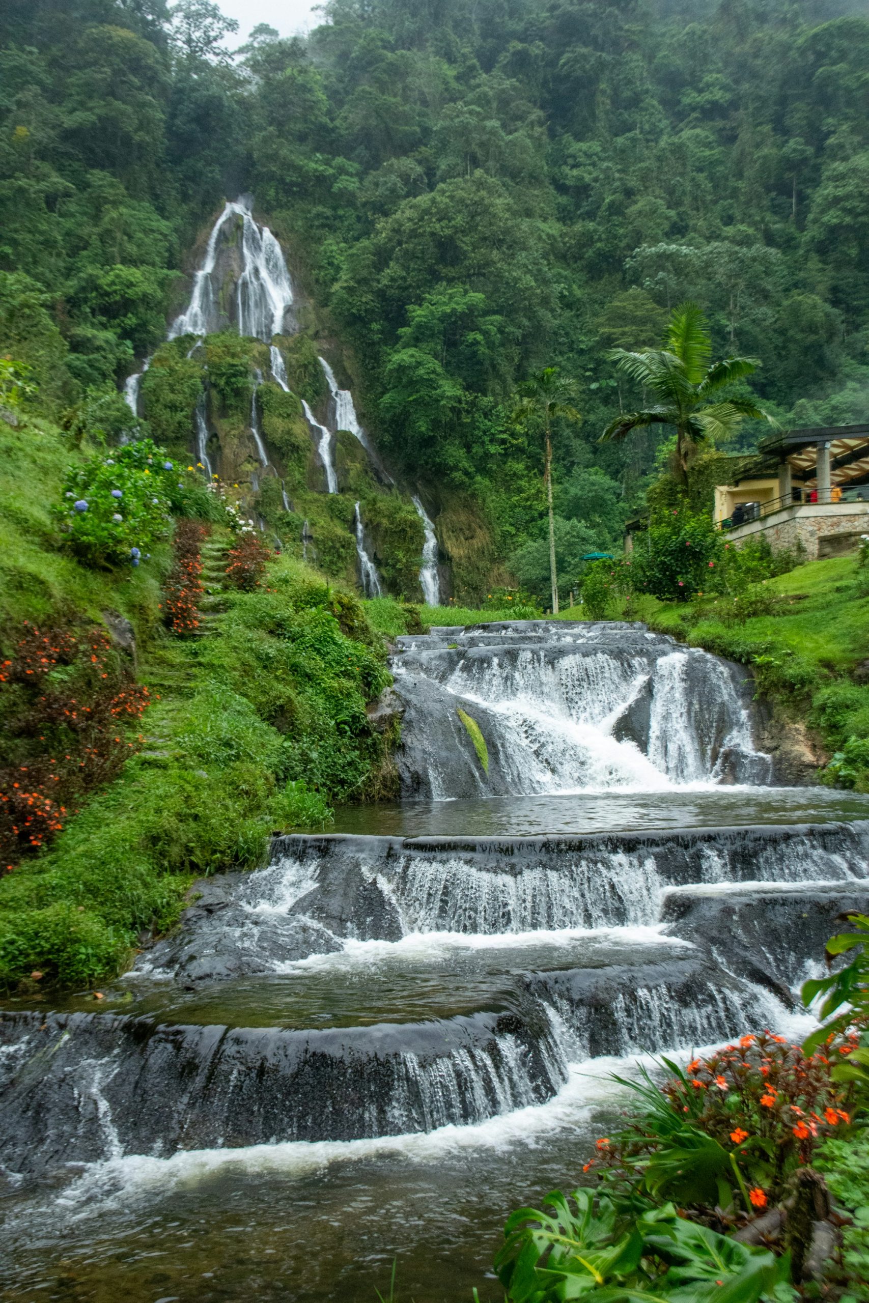 Valle de Cocora en Colombia