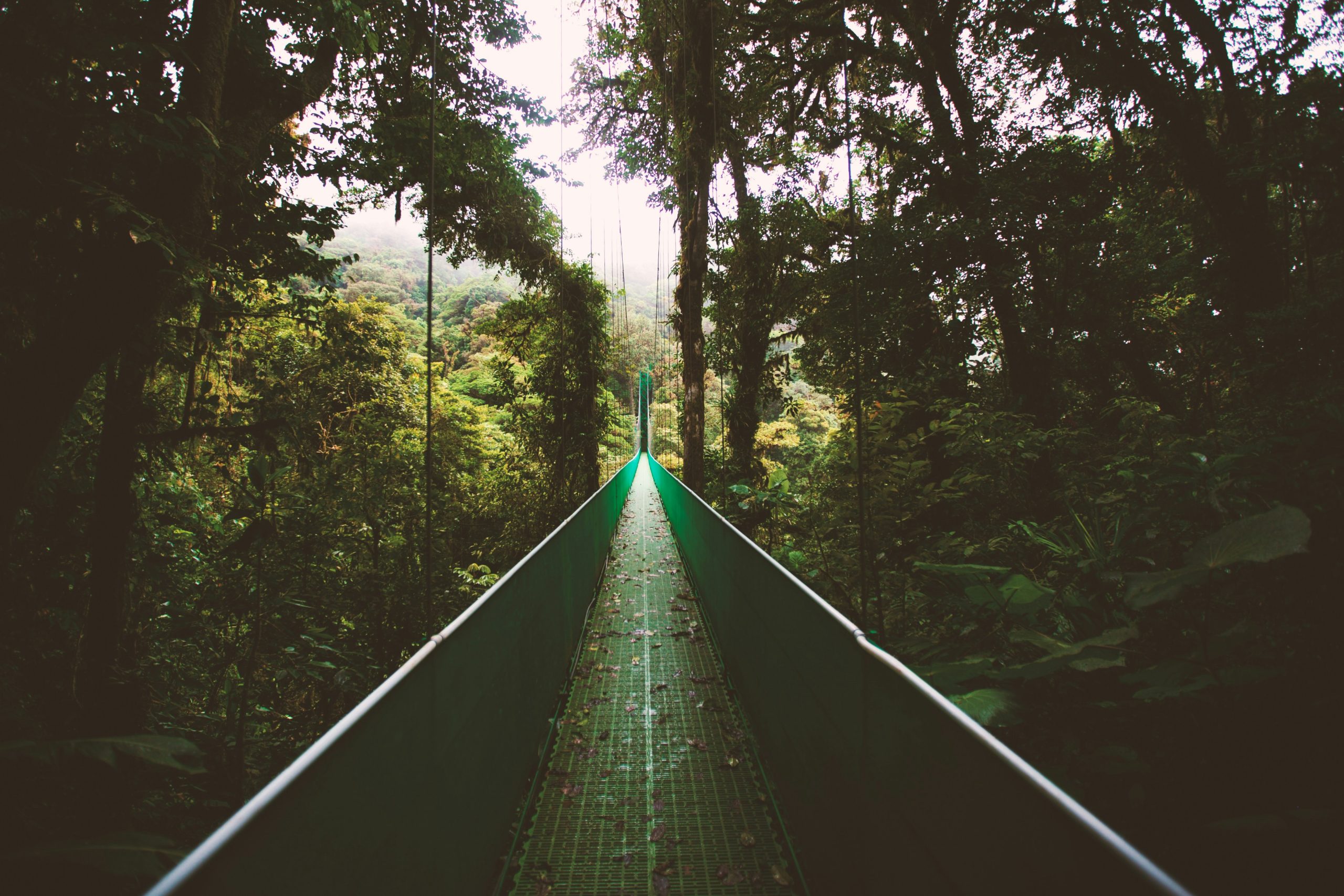 Ruta de montaña en Monteverde en Costa Rica